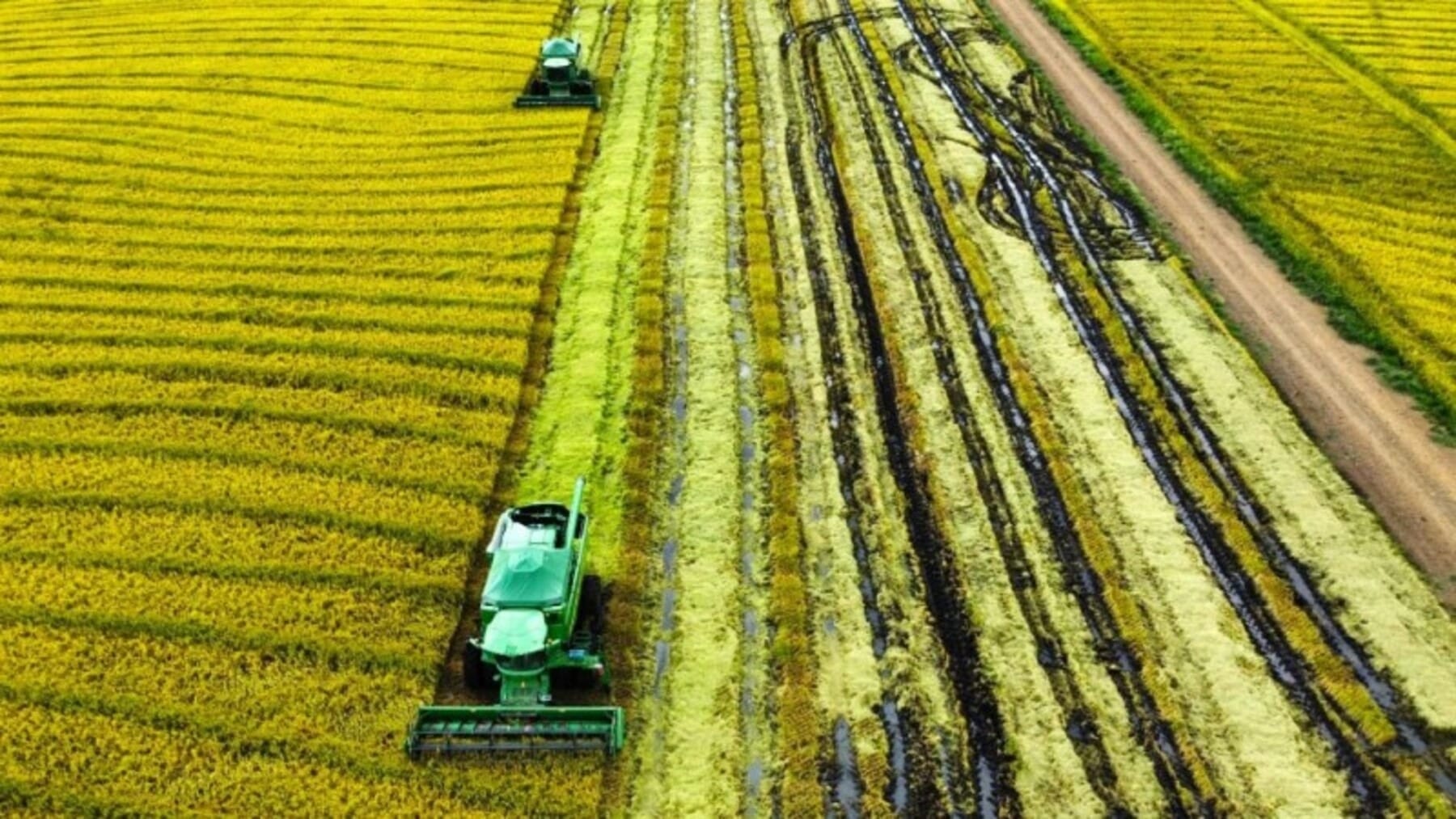 Falta de diesel e guerra no Oriente Médio ameaçam safra no Brasil