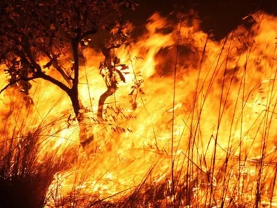 El Niño: Defesa Civil alerta para temporada de queimadas com risco ampliado