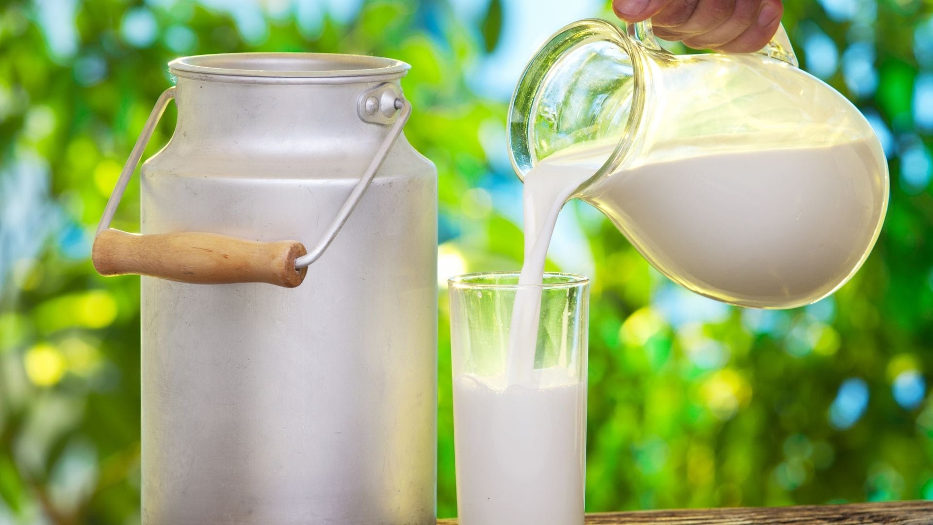 Cesta básica: óleo, açúcar, arroz e leite ficam mais baratos, aponta Dieese