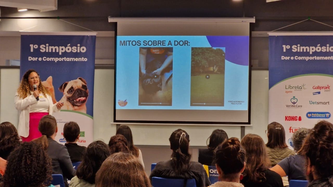 Animal pode ter dificuldade de realizar atividades em virtude de dor (Foto: Divulgação)