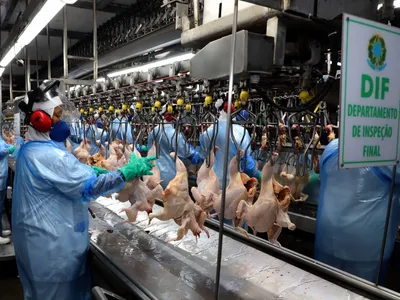 Brasil aumenta exportações de carne e frango para a Argentina em 2025