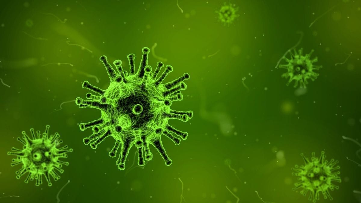 Morte em laboratório russo provoca quarentena e vigilância internacional