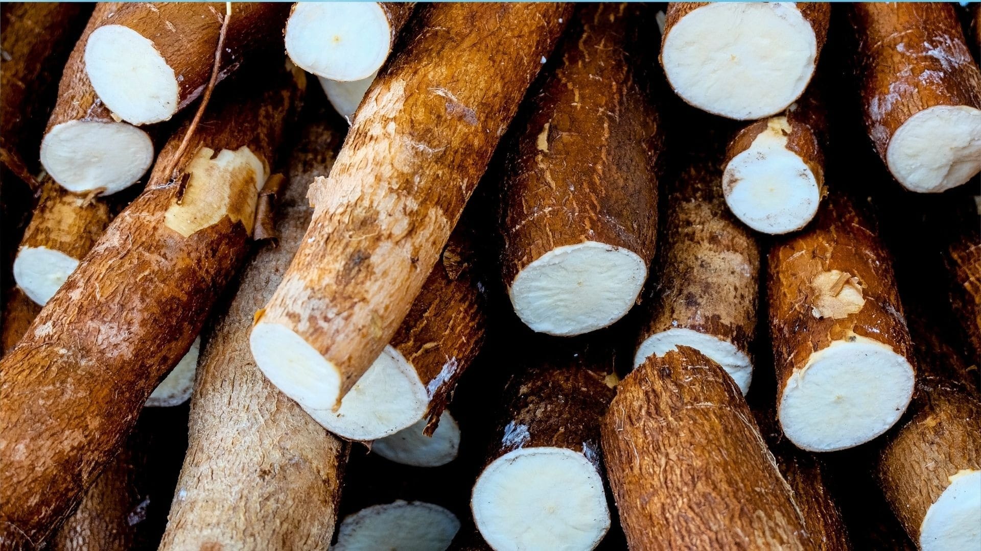 Como preparar mandioca? Anote dicas e 10 receitas com a iguaria brasileira