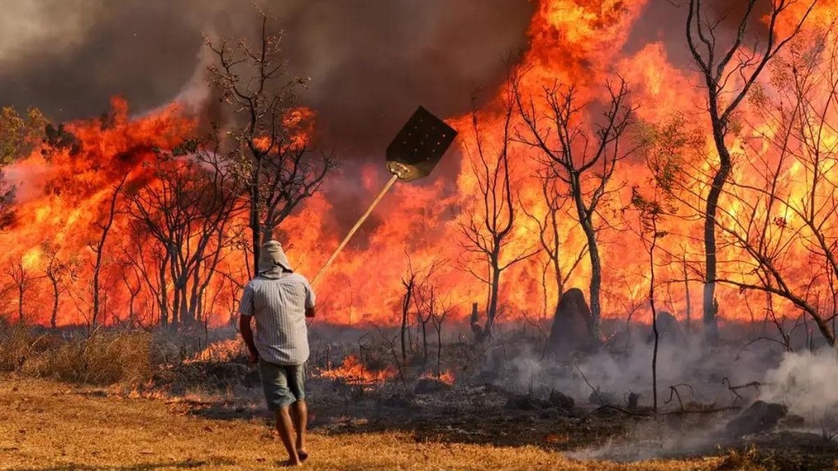 Como o Brasil se prepara para enfrentar incêndios florestais em 2025