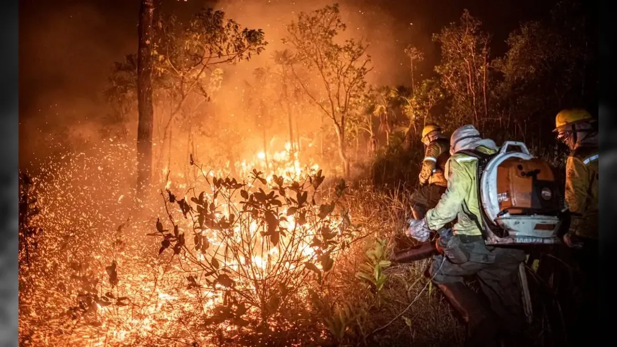 Governo Federal reforça combate a incêndios com contratação histórica de brigadistas