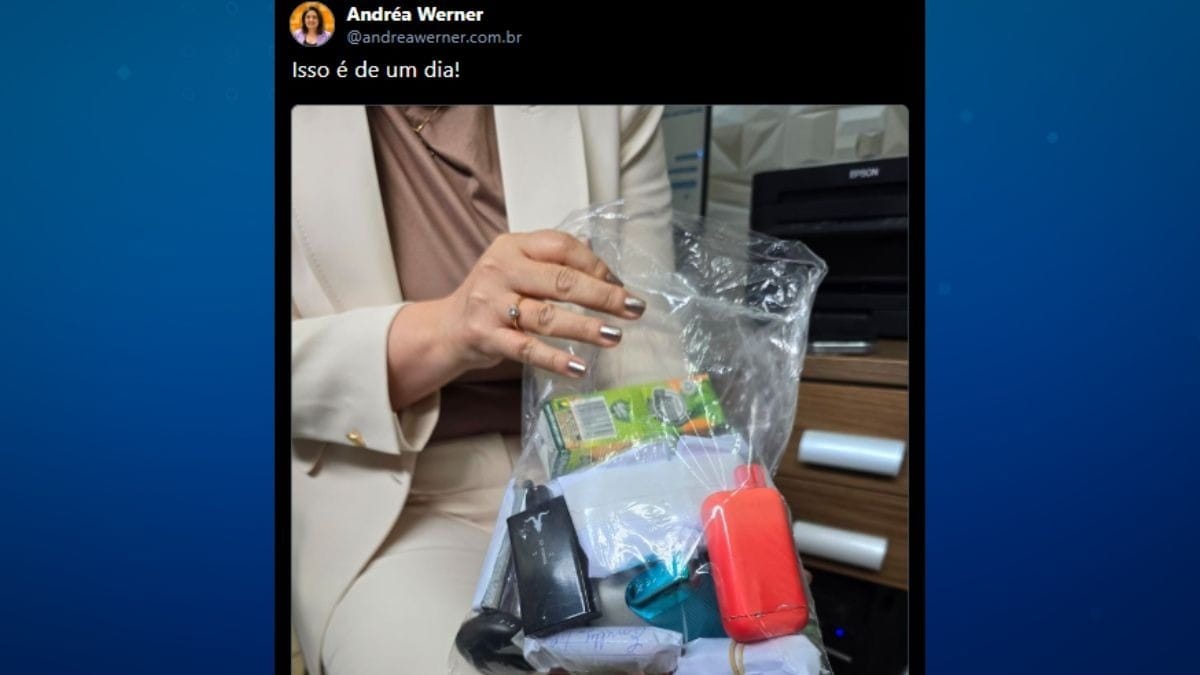 Saco de vapes apreendidos pela deputada Andréa Werner | Reprodução/Bluesky