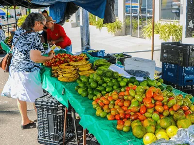 A volta das feiras livres: o que comprar na estação e como economizar em agosto