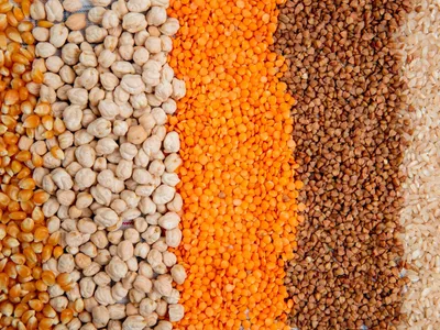 Alimentos transgênicos: entenda o que são e se é seguro consumir