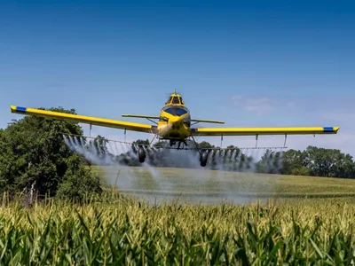 OMS reclassifica defensivo agrícola como "provável cancerígeno"