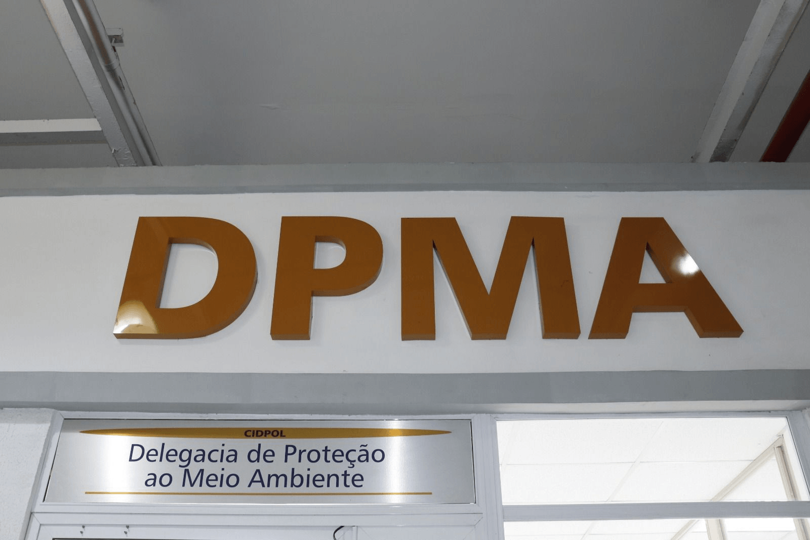 Dono de hotel para pets responderá por maus-tratos após cachorro ser encontrado enterrado