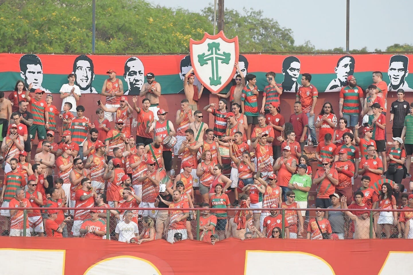 Leões da Fabulosa