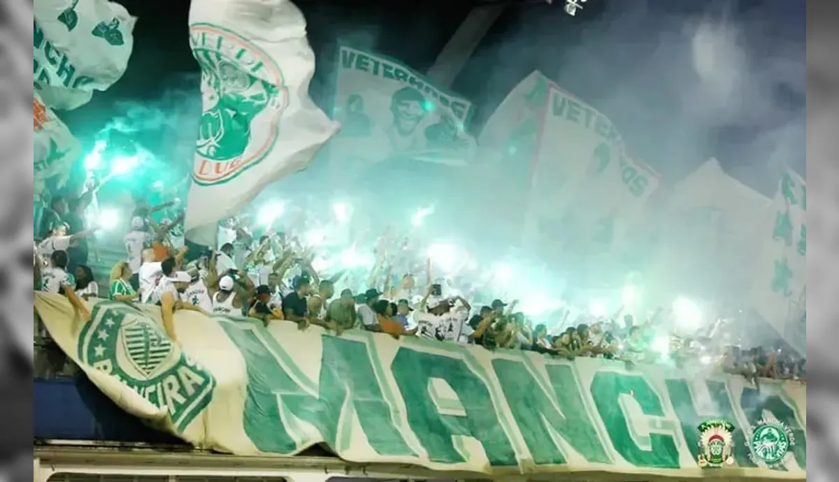 Mancha Verde escolhe samba-enredo para homenagear Ruth Rocha em 2027