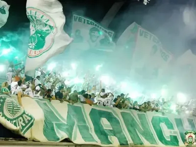 Mancha Verde escolhe samba-enredo para homenagear Ruth Rocha em 2027