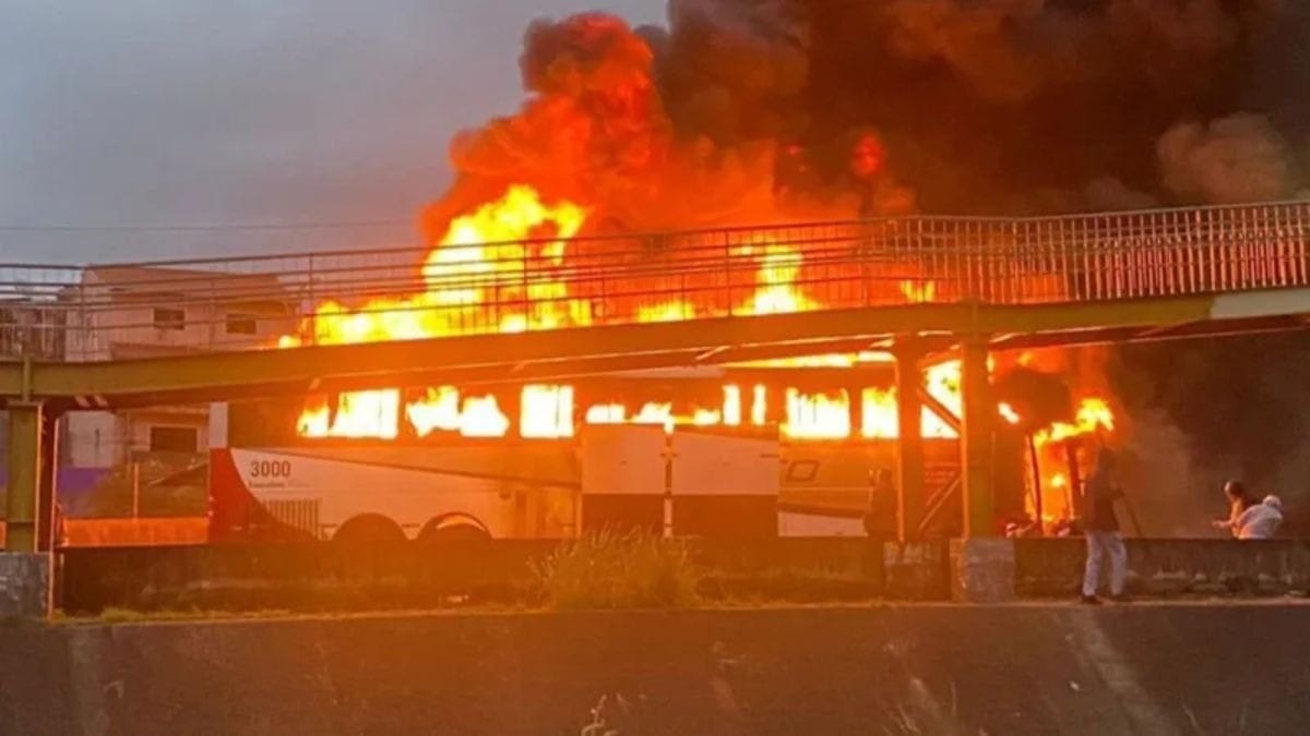 Membros de organizada do Palmeiras são alvos de 10 mandados de prisão por ataque a ônibus
