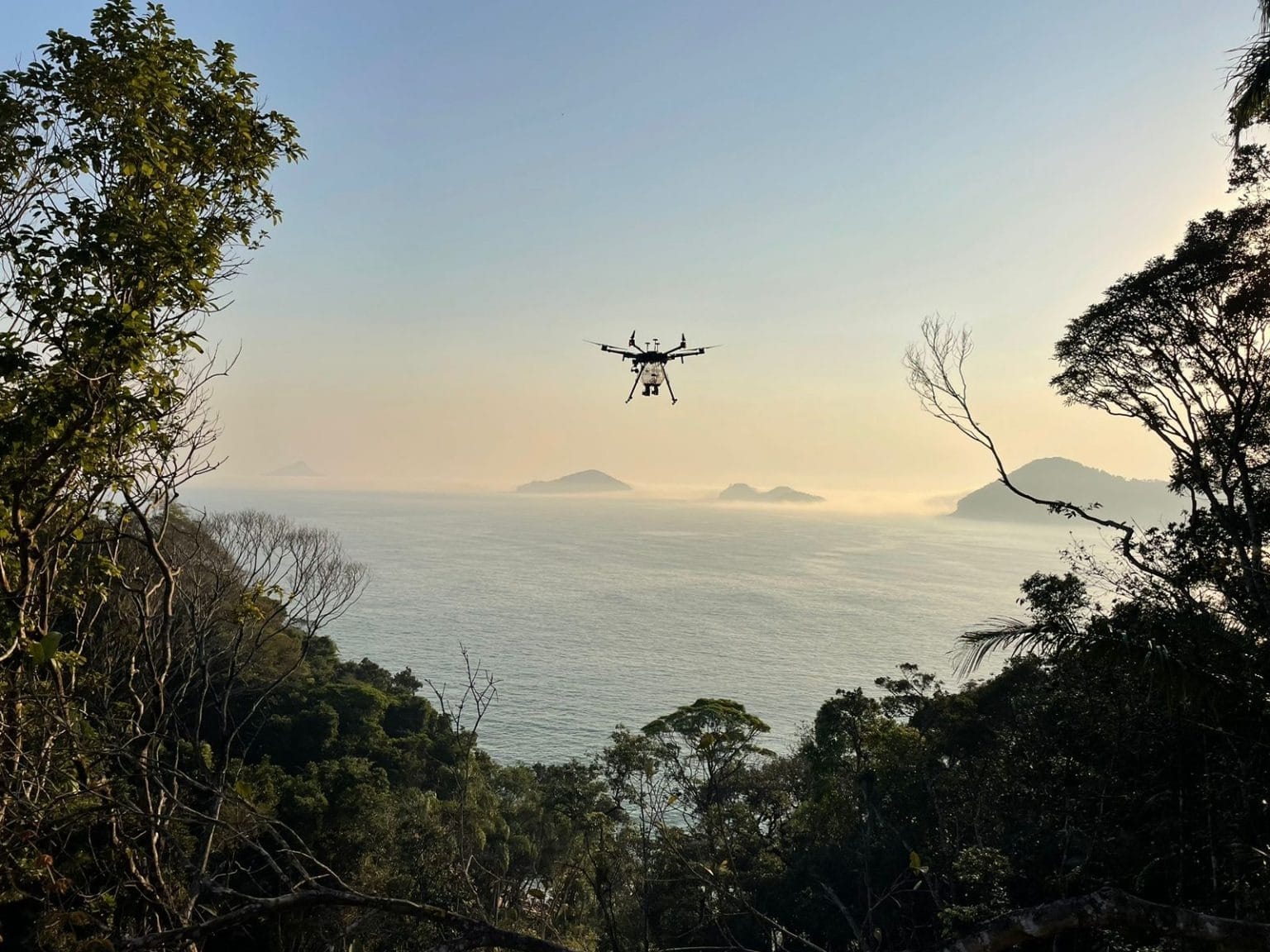 Inteligência artificial em alta no agro: veja as tecnologias que serão tendência em 2025