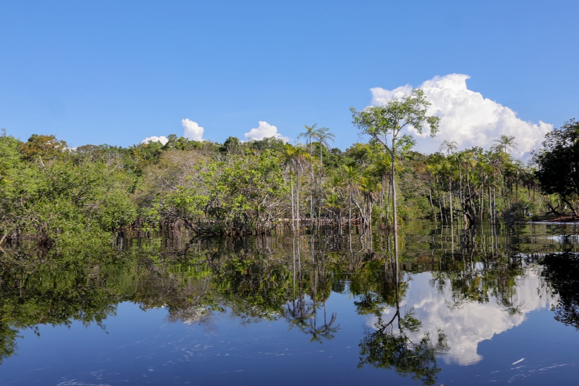 Governo defende manutenção de vetos à lei do licenciamento ambiental