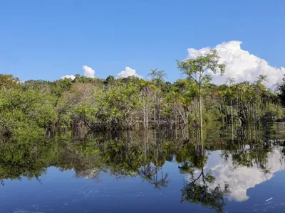 Amazonas declara estado de emergência climática e teme "super El Niño"