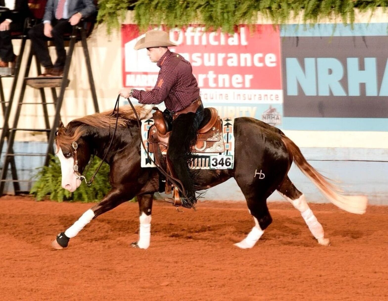 Cavalo brasileiro de R$ 160 milhões é o mais caro da raça Quarto de Milha no mundo