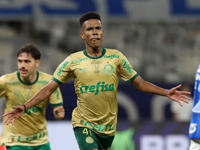 Botafogo e Palmeiras vencem, briga segue forte pelo título do Brasileiro