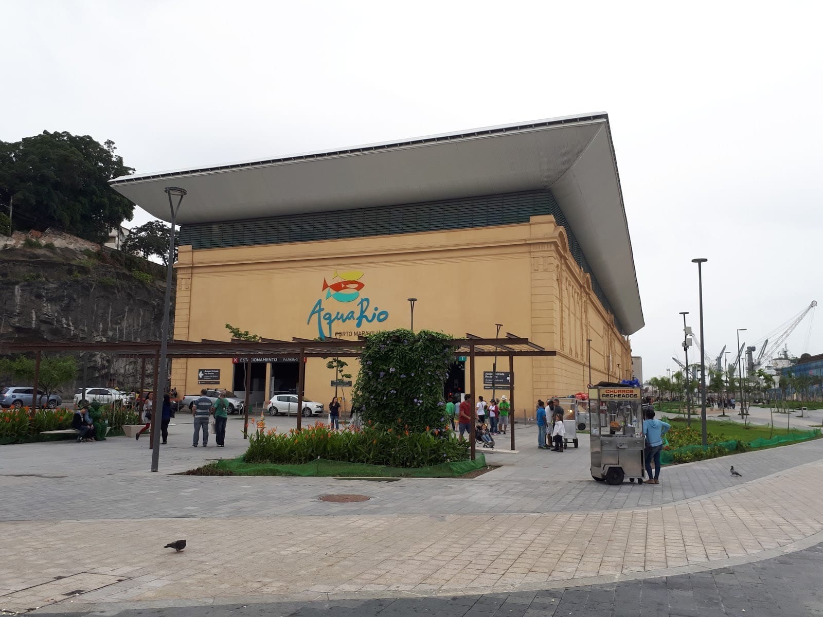 Até esta sexta-feira, entradas para visitação do AquaRio vão custar R$ 99 reais