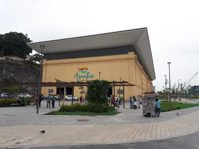Até esta sexta-feira, entradas para visitação do AquaRio vão custar R$ 99 reais
