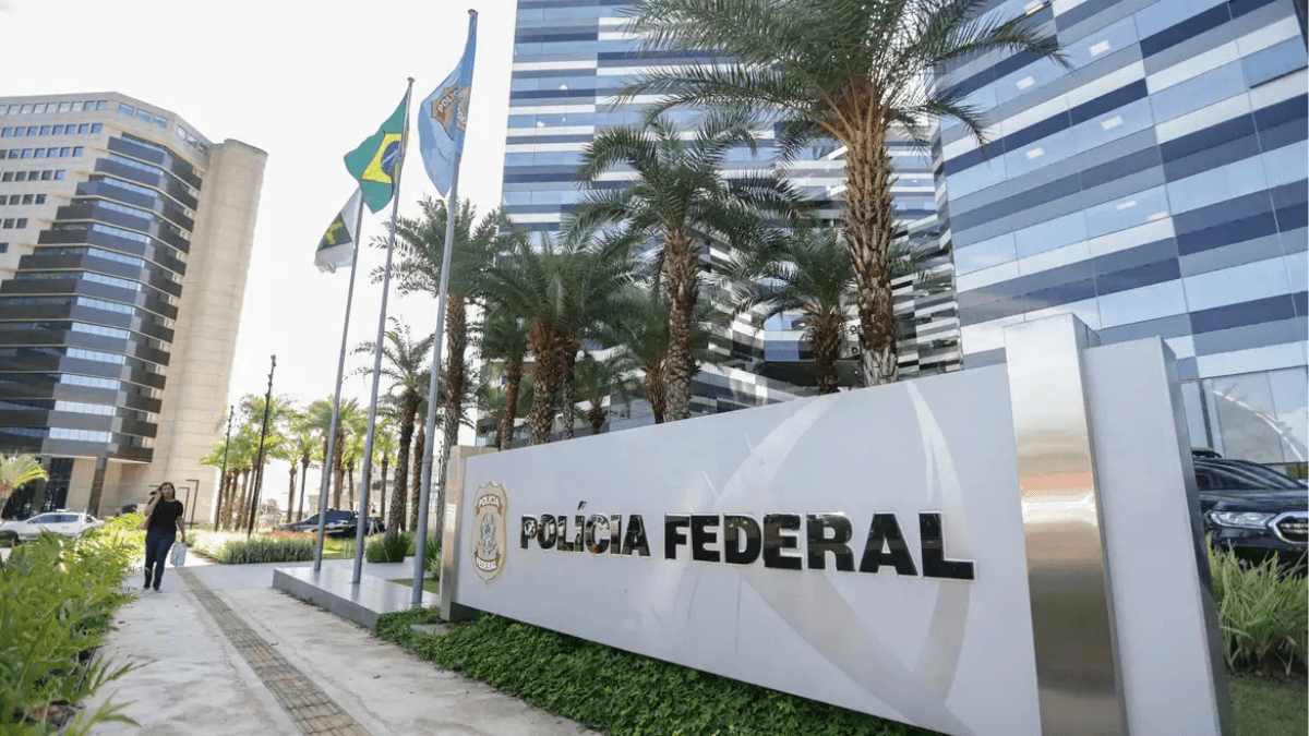 PF encontra mais de 63 mil pés de maconha em terra indígena no Pará