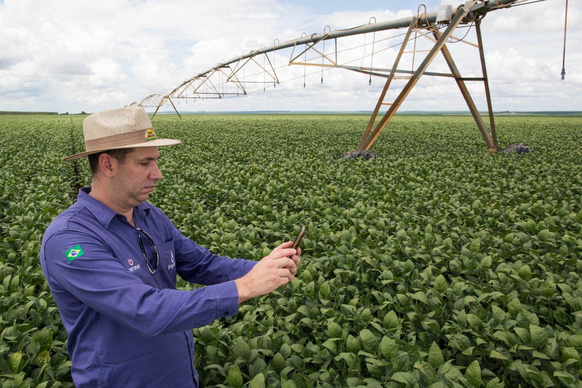 Agronegócio é um setor que envolve grandes e pequenos produtores rurais; veja números