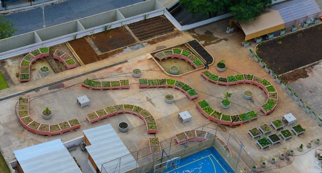Maior horta urbana de SP cultiva 1 tonelada de alimentos orgânicos em vasos