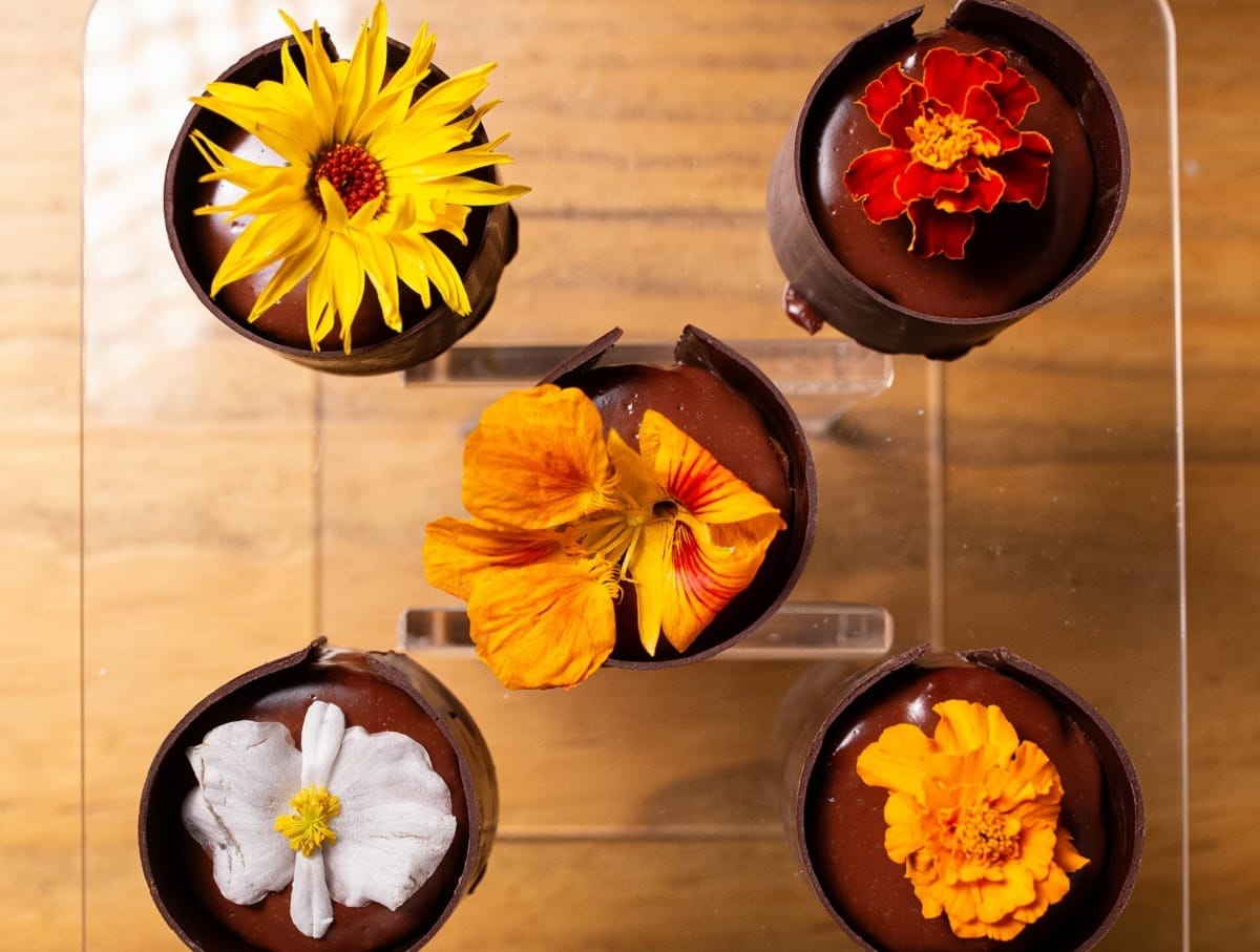 Sachertorte de kinkan | Band Receitas