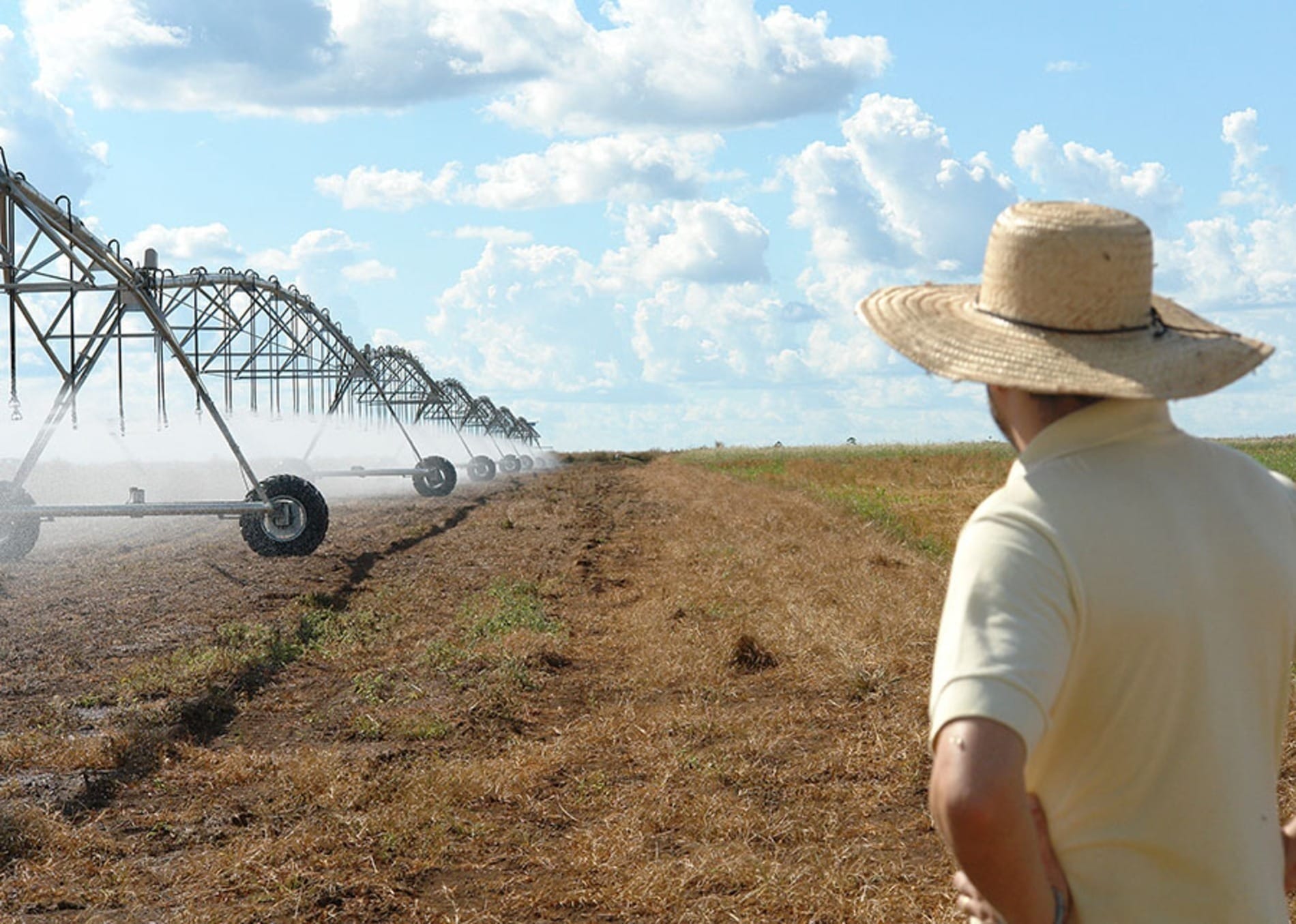 Agro debate os impactos da reforma tributária no dia-a-dia no campo