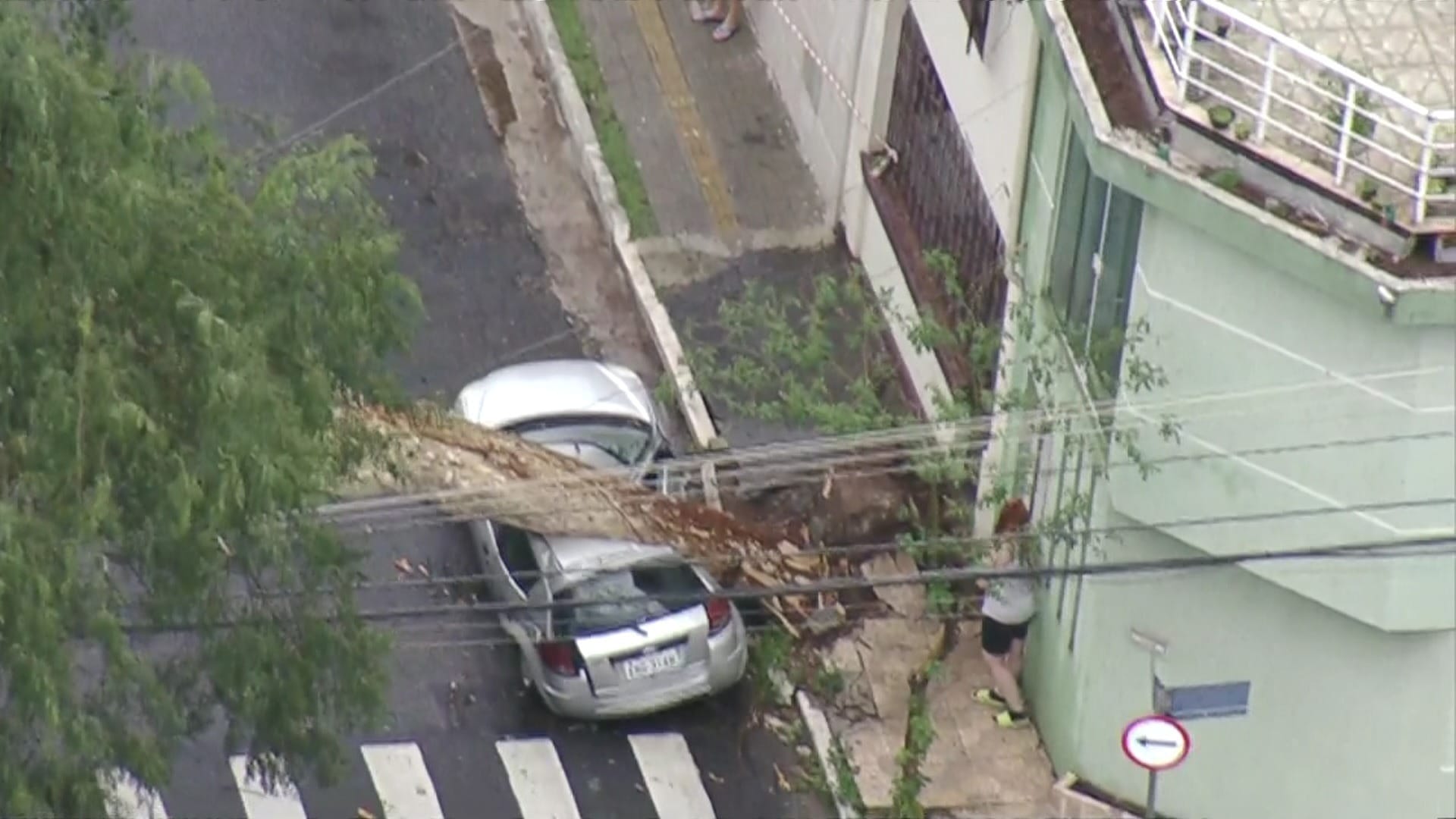 Com aproximação das chuvas de verão, queda de árvores preocupa em São Paulo