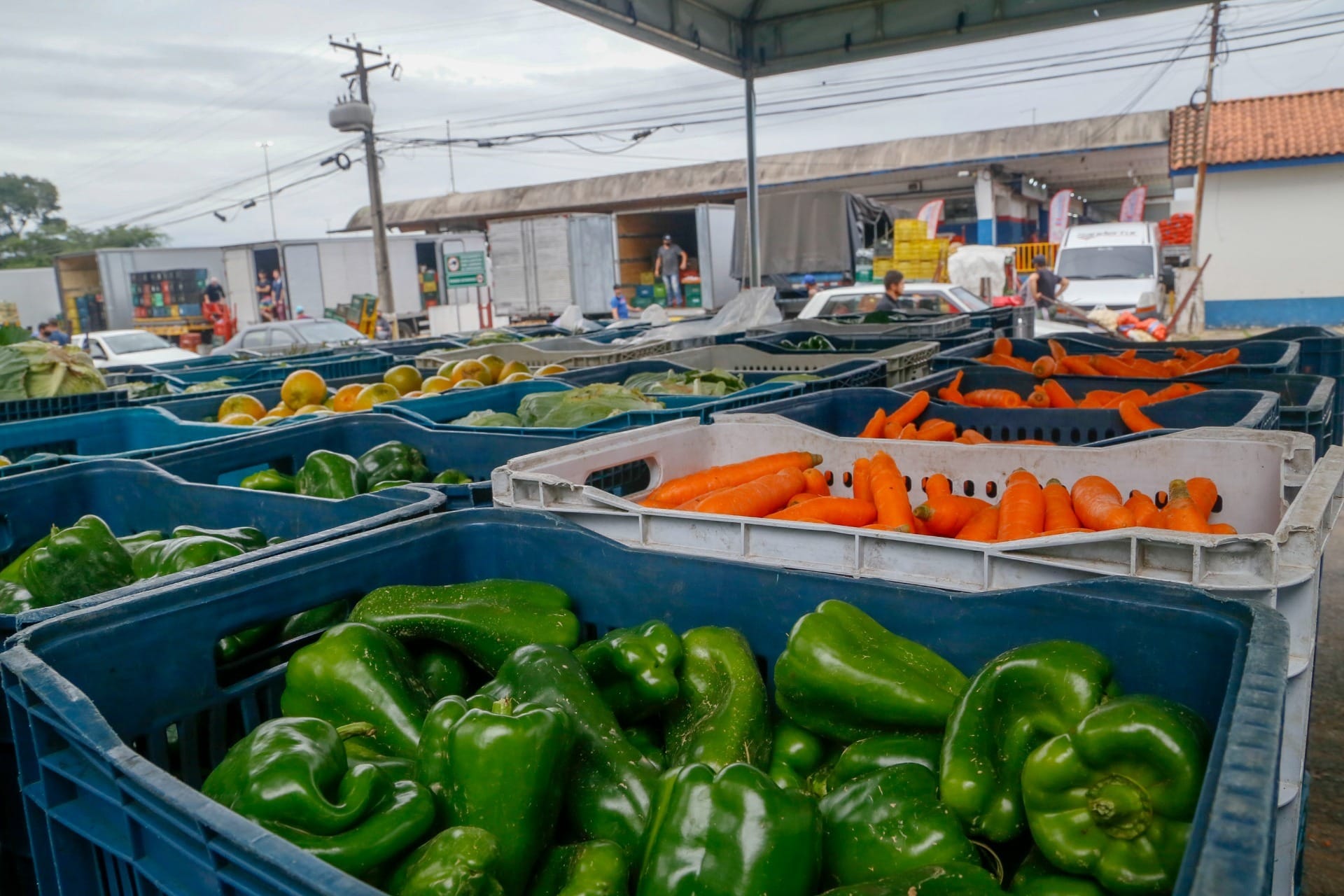 IPCA: Alimentos voltam a ficar mais caros; veja quais