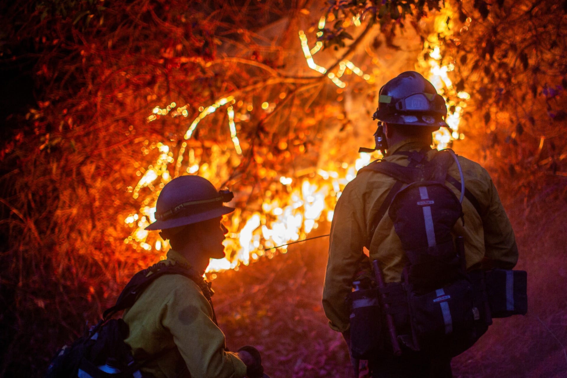 Incêndios voltam a ganhar força em Los Angeles; mortos chegam a 24