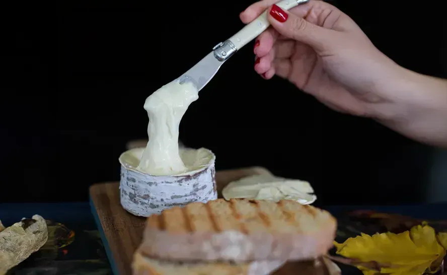 Melhor queijo do mundo é brasileiro