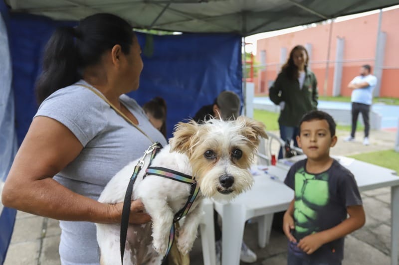 Inscrições abertas para castração gratuita de pets em SJCampos