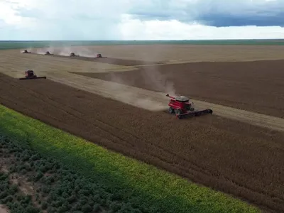 Produção de grãos no Brasil tem nova projeção recorde de 322,9 milhões de toneladas