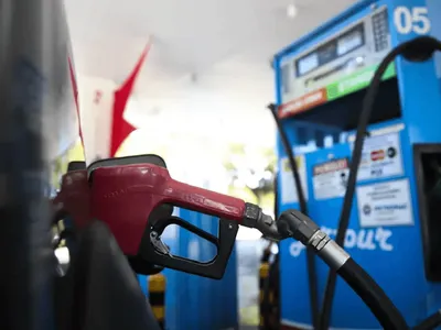 Juliana Rosa: Brasil tem a faca e o queijo na mão na transição energética