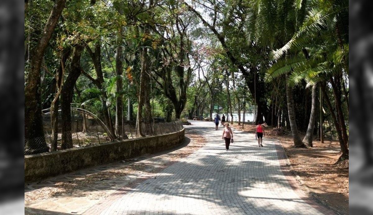 Campinas reabre todos os parques e bosques nesta quarta (14)