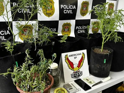 Operação da Polícia Civil prende suspeito que mantinha plantação de maconha dentro de casa