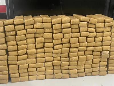 Polícia encontra 140 kg de maconha escondidos em área de mata no Guarujá (SP)