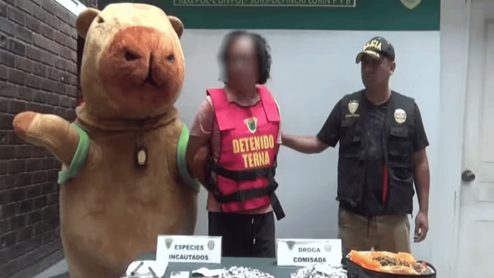 Policial faz prisão vestido de capivara no Peru