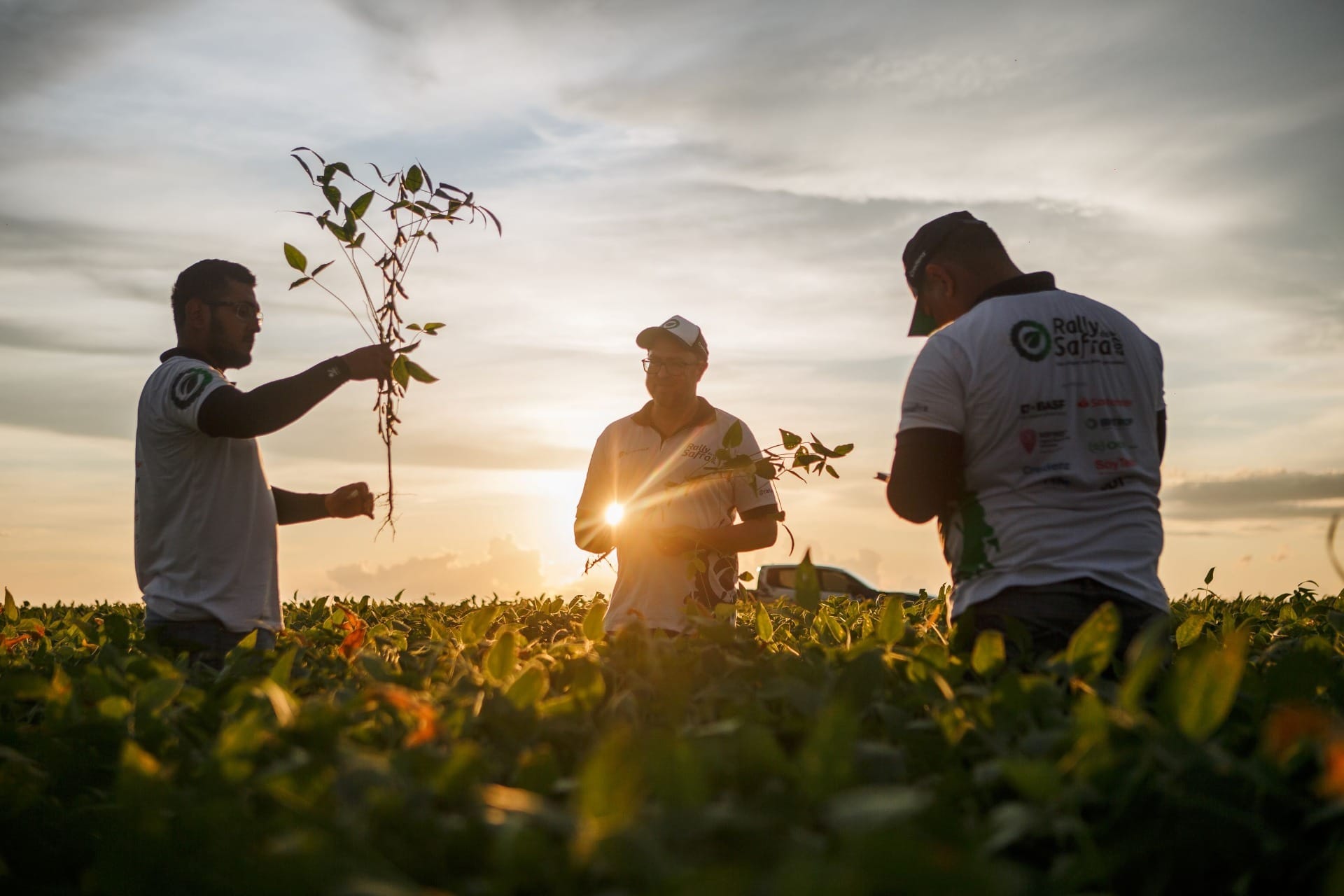 Agroconsult reduz estimativa de safra para 171,3 milhões de toneladas