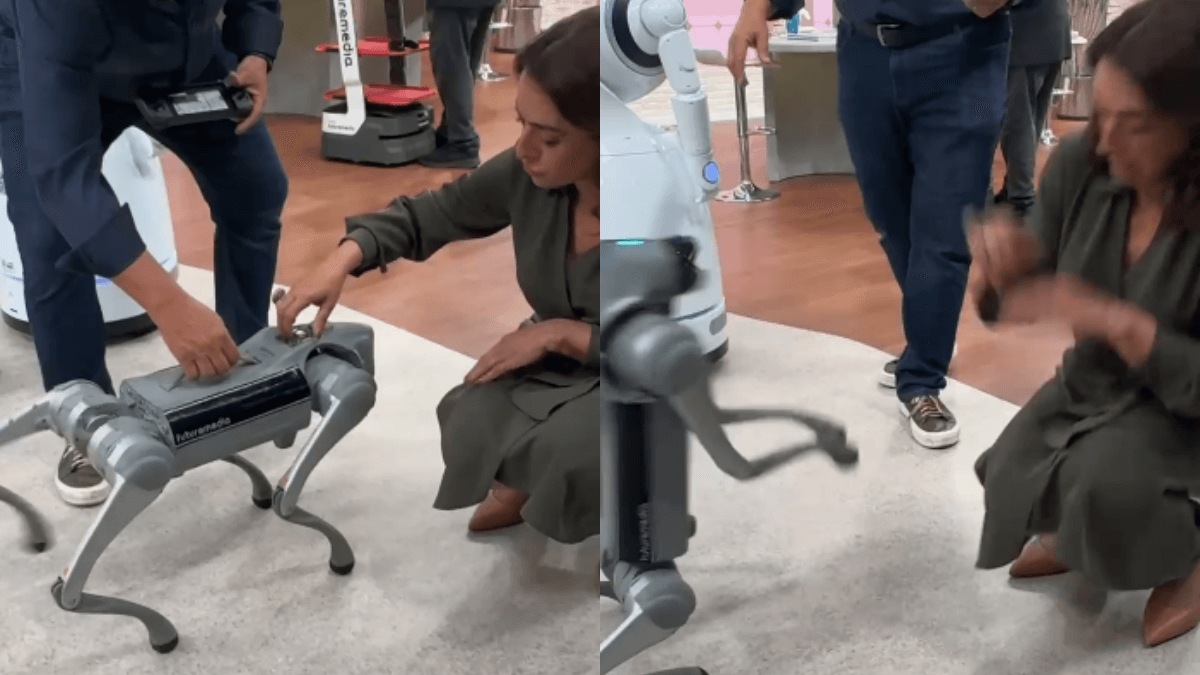 Catia Fonseca toma susto com cão-robô nos bastidores do Melhor da tarde; veja vídeo