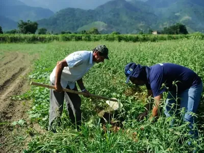 Desenrola 2.0 inclui pequenos e médios agricultores; entenda as regras