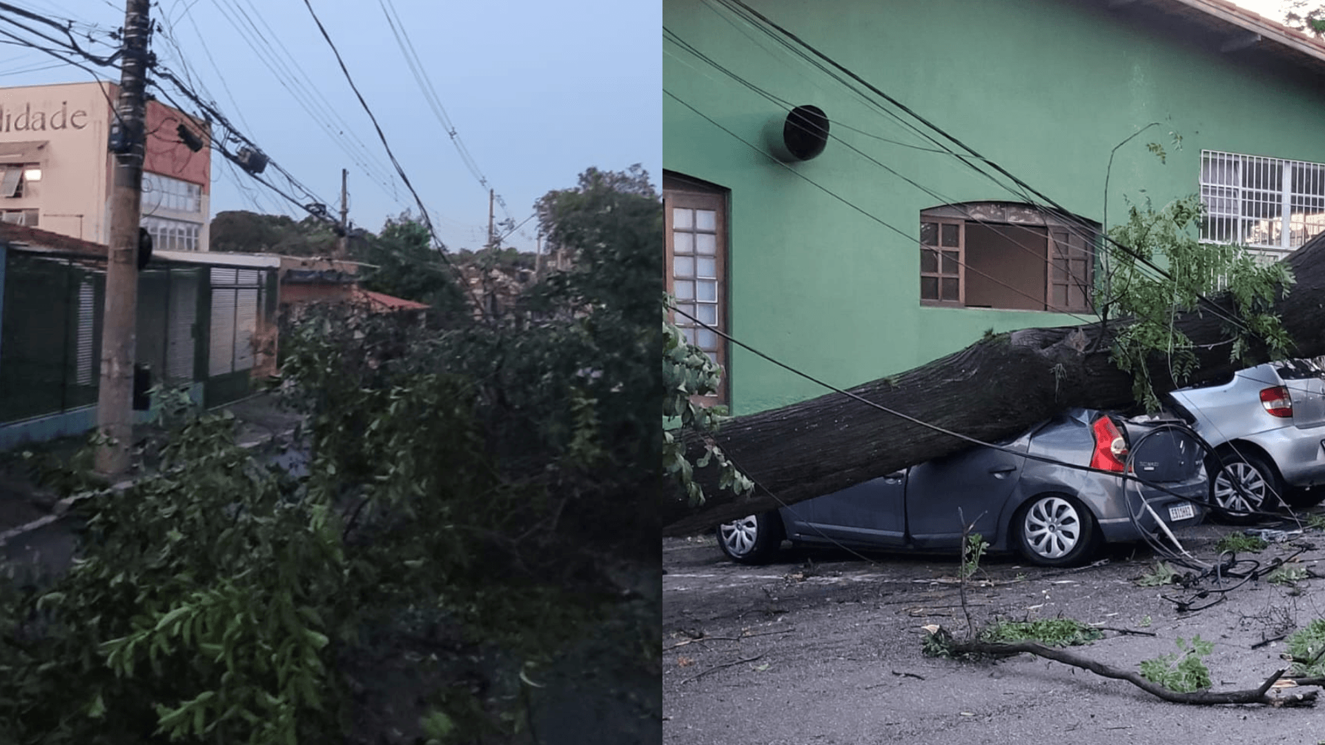 Arquivo pessoal