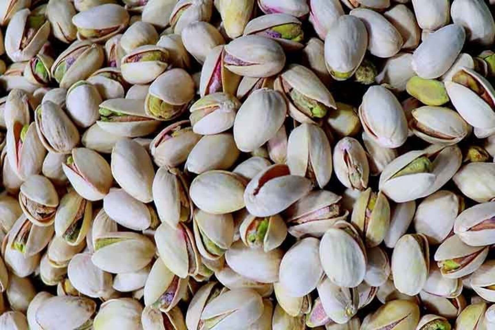 Hoje é dia mundial do pistache, oleaginosa que virou febre no Brasil e será cultivada no Ceará