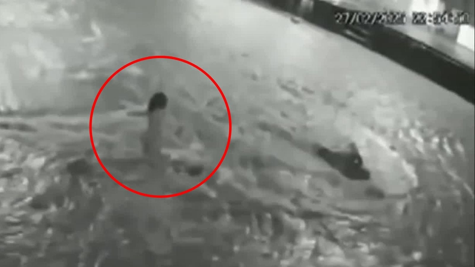 VÍDEO: criança é engolida por bueiro durante temporal em Fortaleza