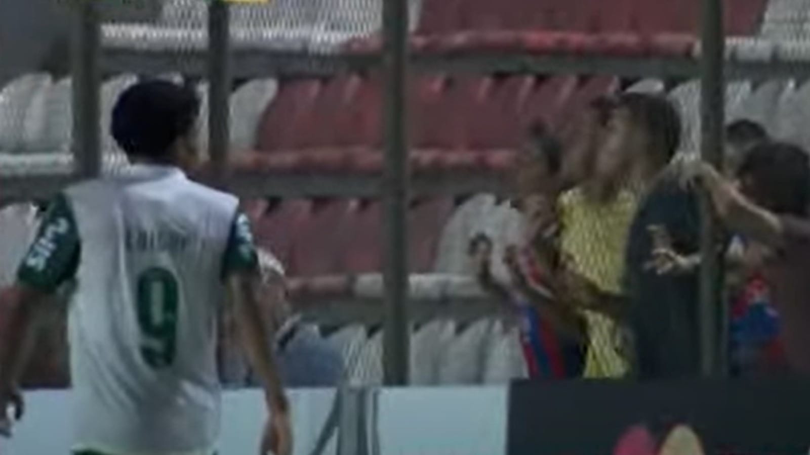 Torcedor deve ser banido, cobra Renata Fan após caso de racismo contra jogador do Palmeiras
