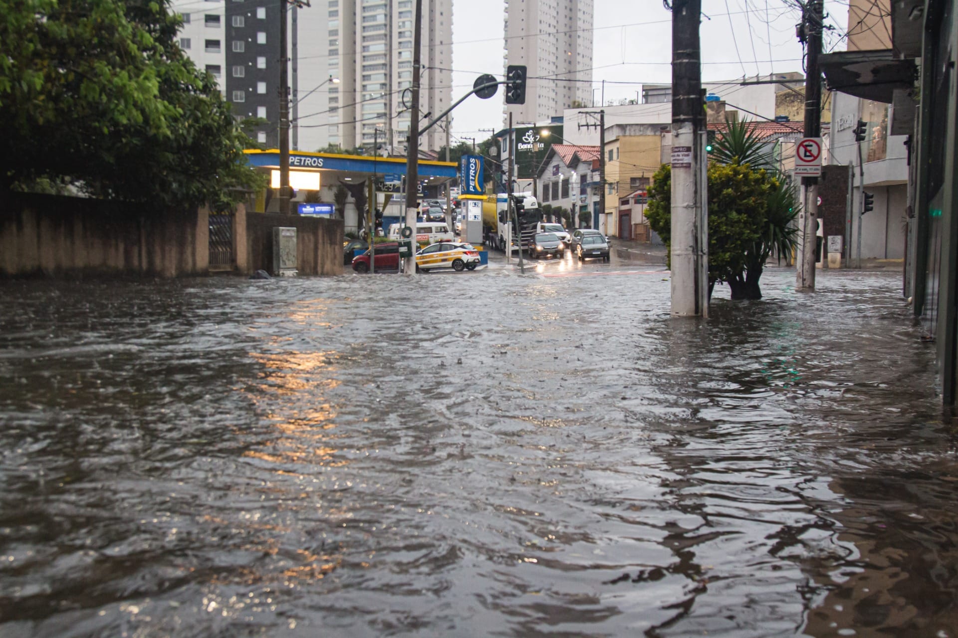 SP: Temporal na capital derruba 158 árvores, mata uma pessoa e deixa 173 mil sem luz