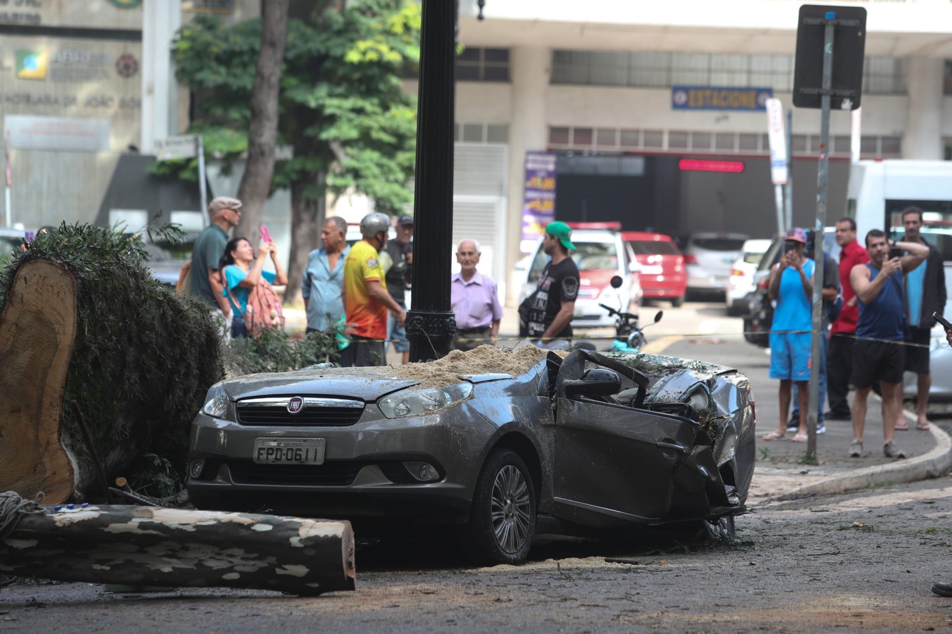 Taxista morto por queda de árvore estava havia oito meses no ponto da Senador Queirós, em SP